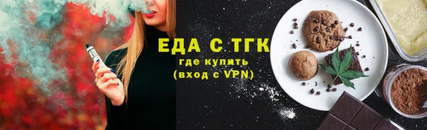 крисы Козельск
