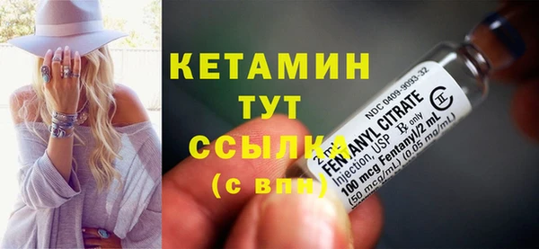 крисы Козельск