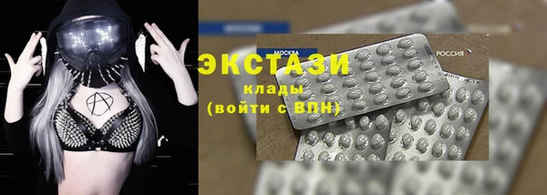крисы Козельск