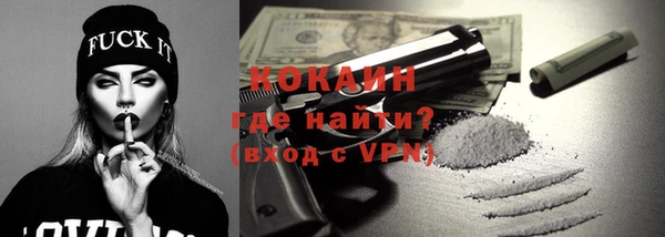 крисы Козельск