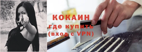 крисы Козельск