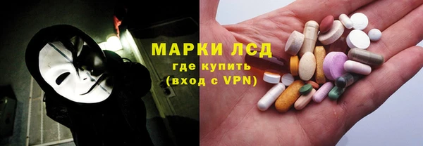 крисы Козельск