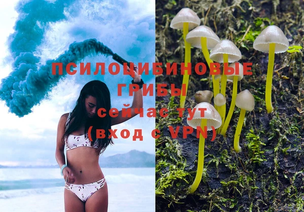 крисы Козельск