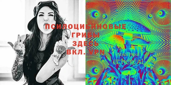 крисы Козельск