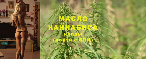 крисы Козельск